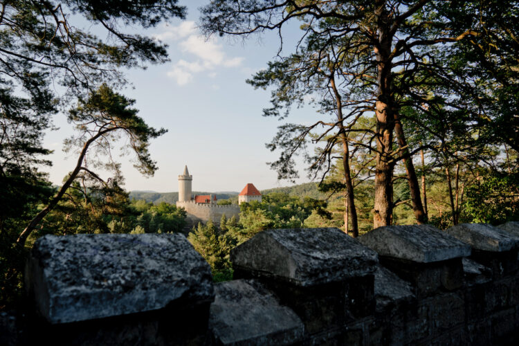 Kokořín